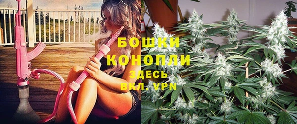 стаф Богородицк