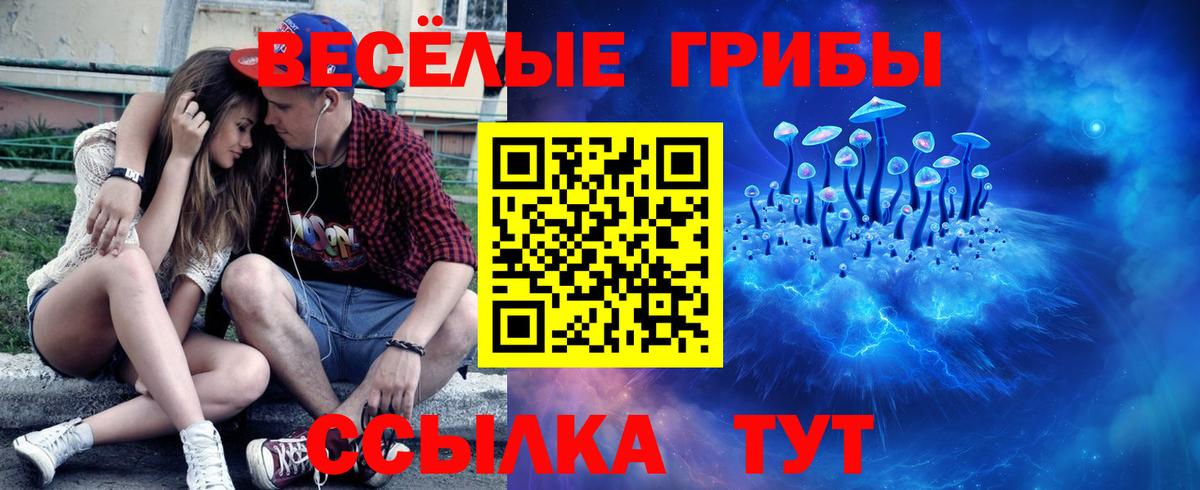Мурманск  Псилоцибиновые грибы ЛСД  Вход с VPN 